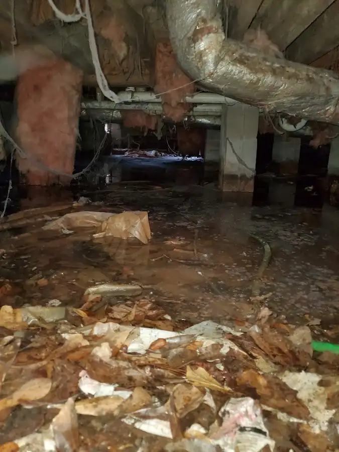 Crawl space flood assessment for Leak Detection & Repair in Ilion