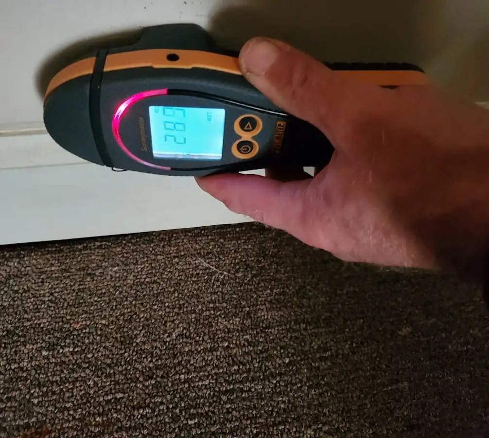 Moisture detection at baseboard during Sewage Cleanup & Sanitation in Ilion